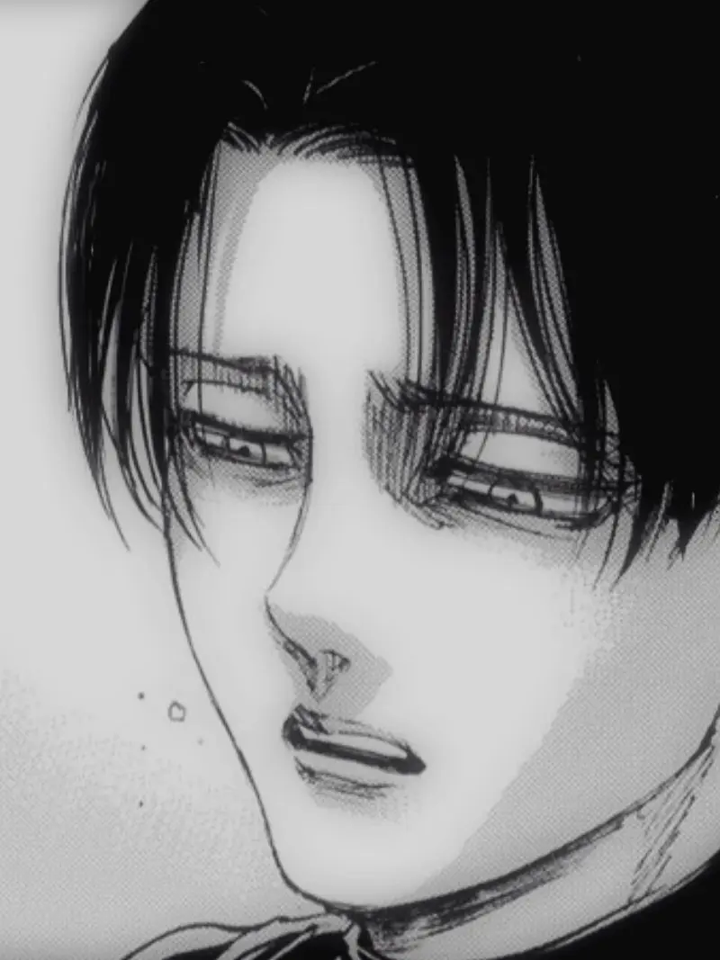 TartTulip0977의 리바이 아커만