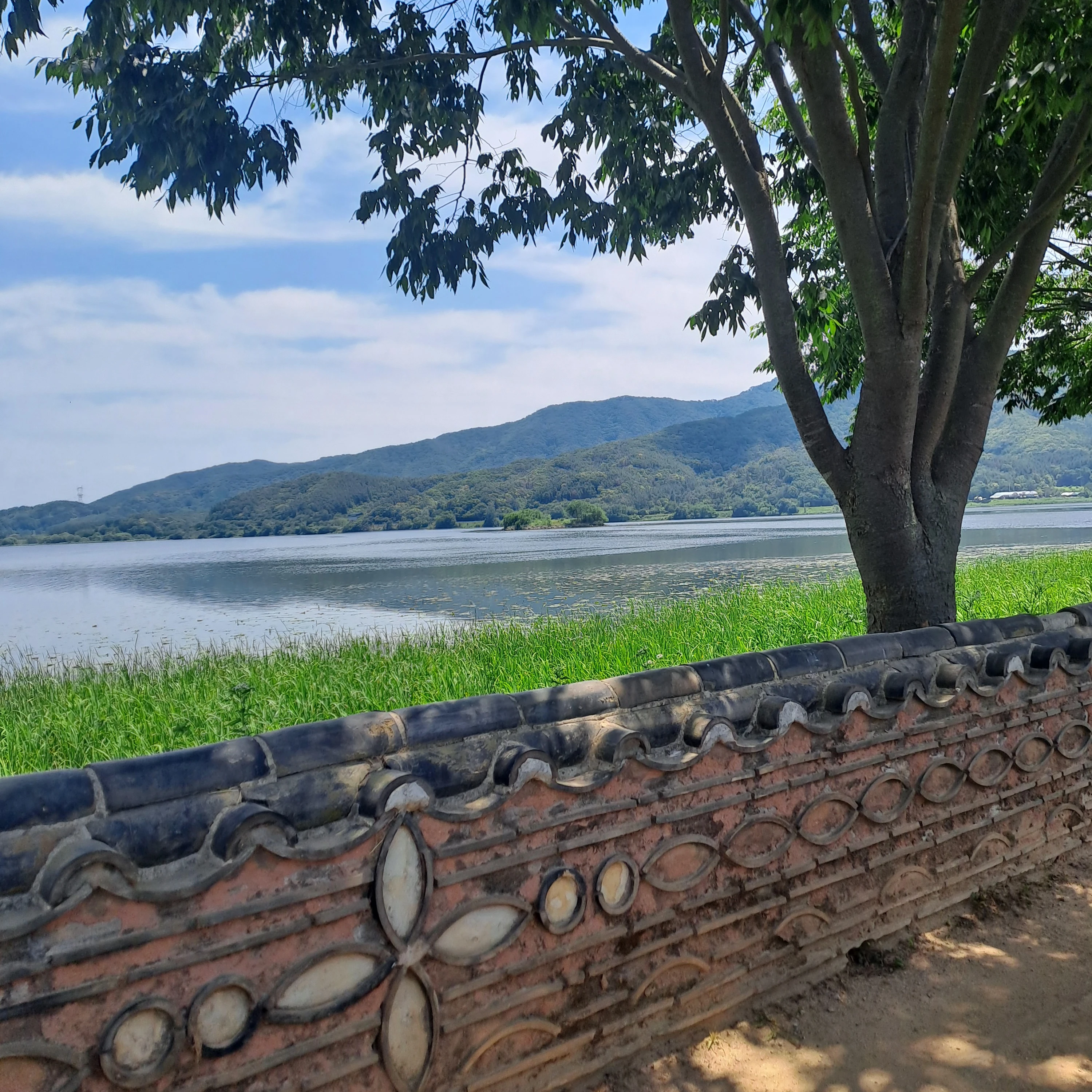 도하