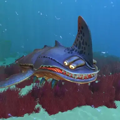 Profile image of 모래 상어