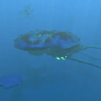 Profile image of 산호등 레비아탄