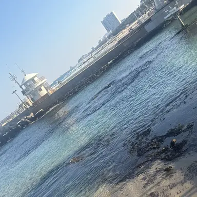 Profile image of 가은