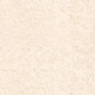 Profile image of ファン