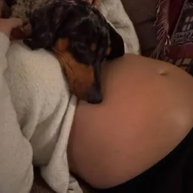 Profile image of Brody and Tank