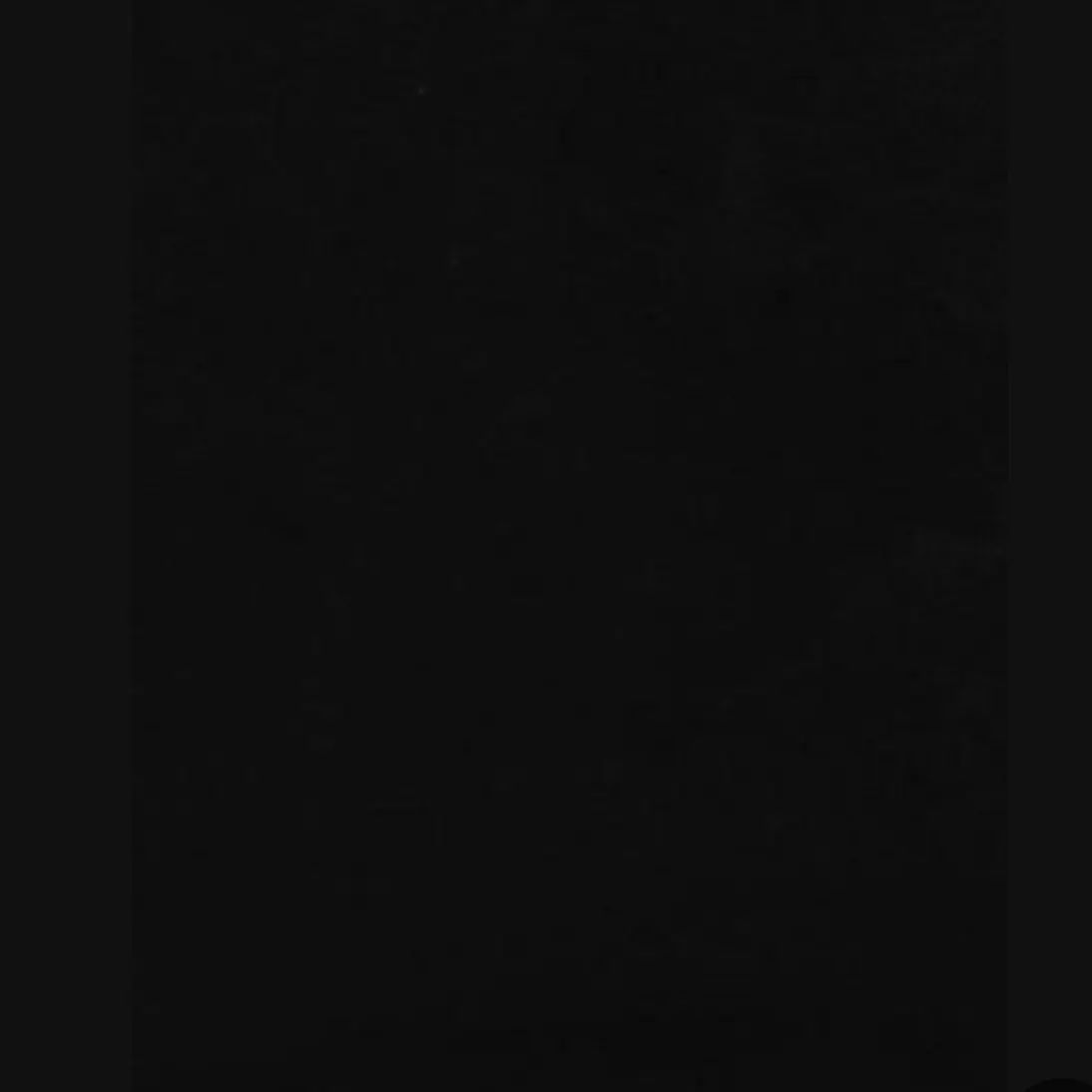 leaf12333의 주인 비챤