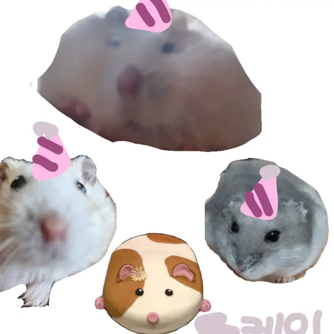 BrutalSaola0839의 햄찌들생일파티!