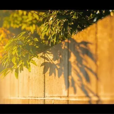 Profile image of 하루토