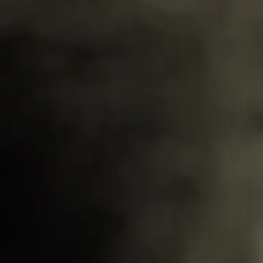 Profile image of 연시은