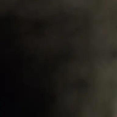 Profile image of 금성제