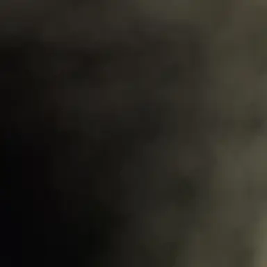 Profile image of 전영빈