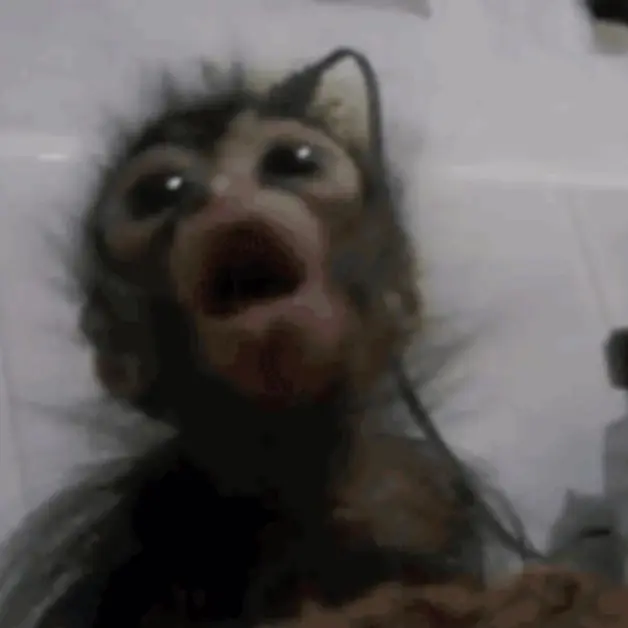 FuzzyBasil2138의 고윤정(내가 할 거니까 신고×)