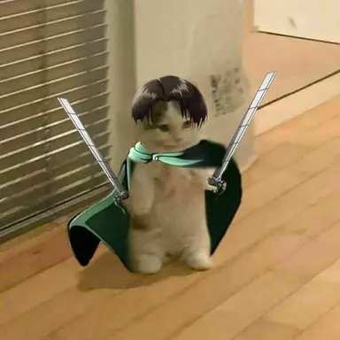 Profile image of 리바이 아커만
