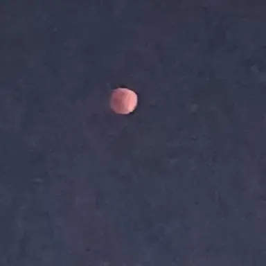 Profile image of 러끼