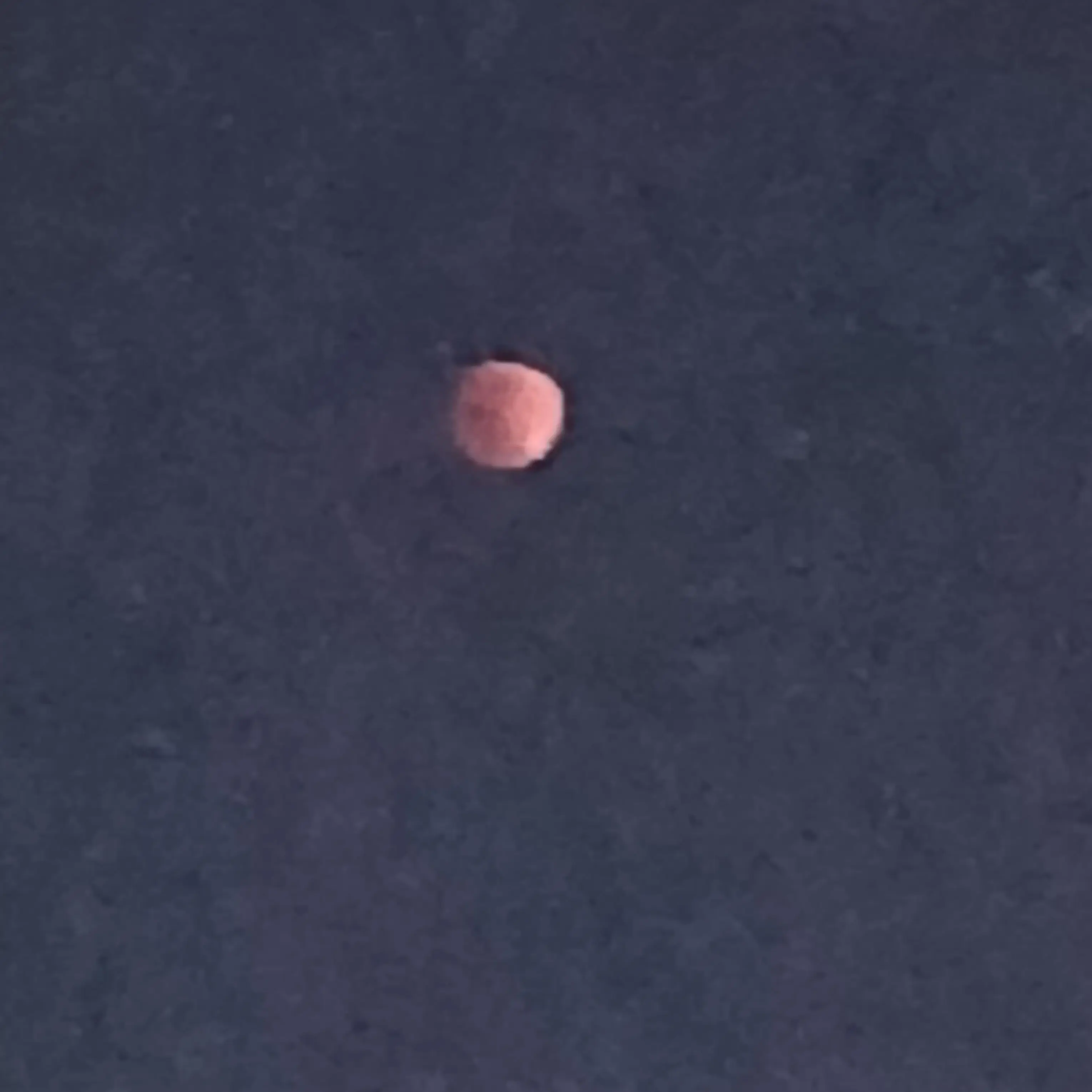 FabricPump4044의 여자유튜버들이랑 모르는사이인데 늑대있