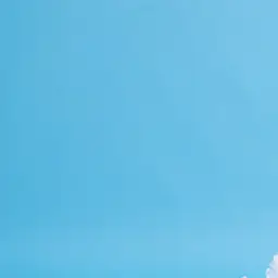 Profile image of 渡辺 翔太