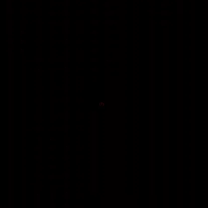枢軸国