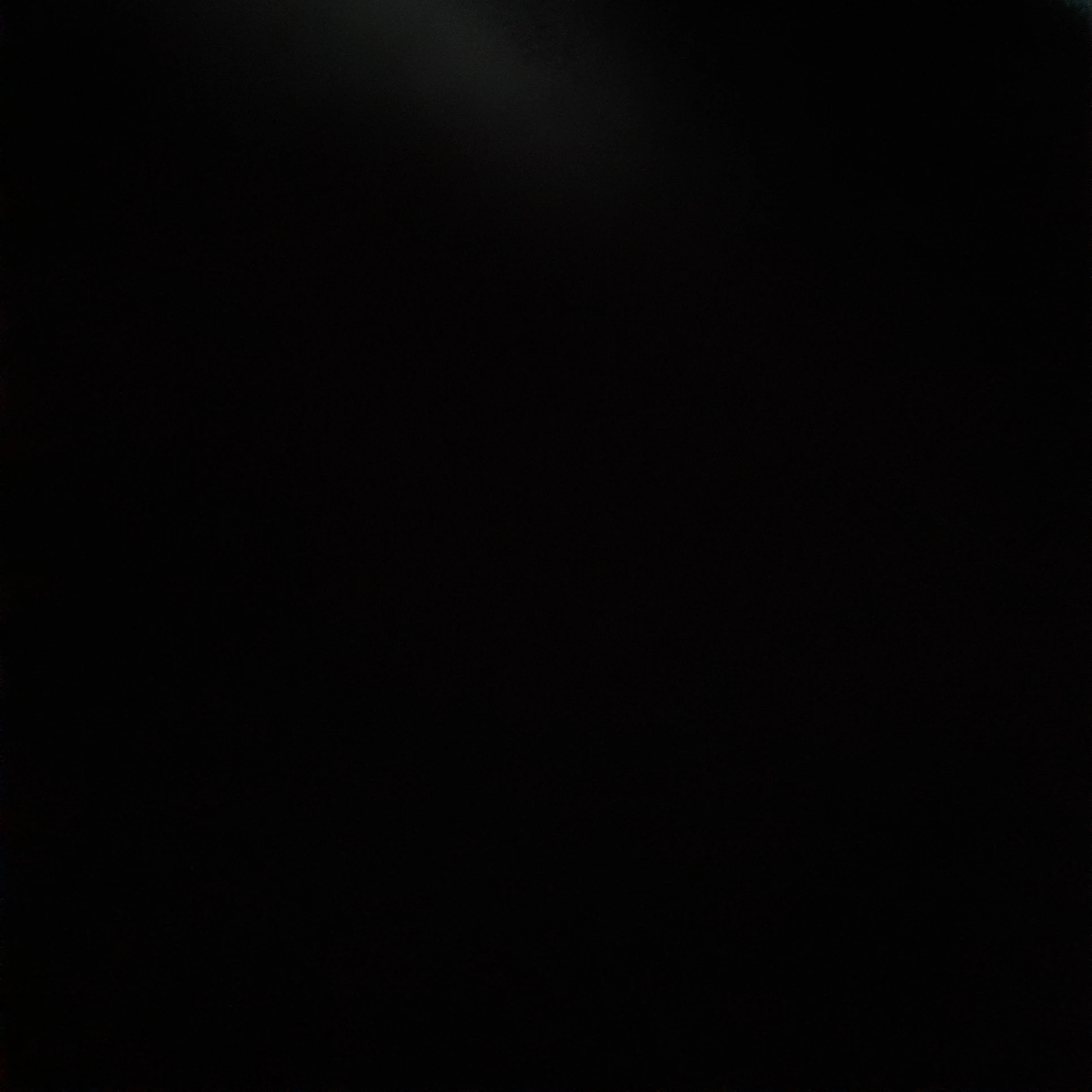 베일리
