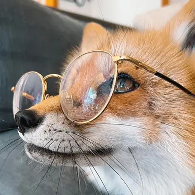 Profile image of Dong-wook