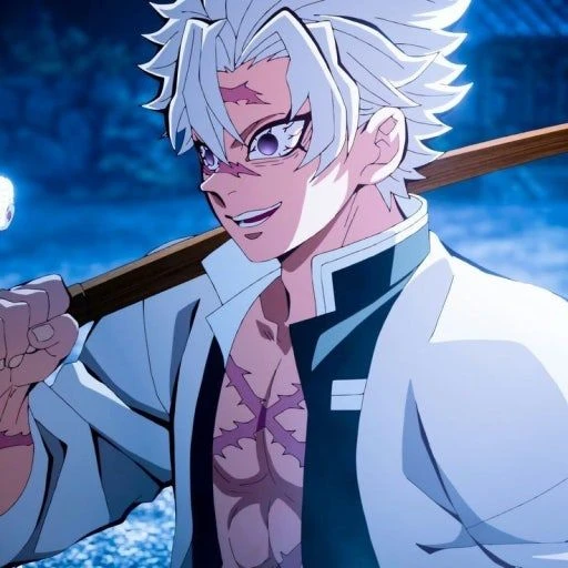 시나즈가와 사네미