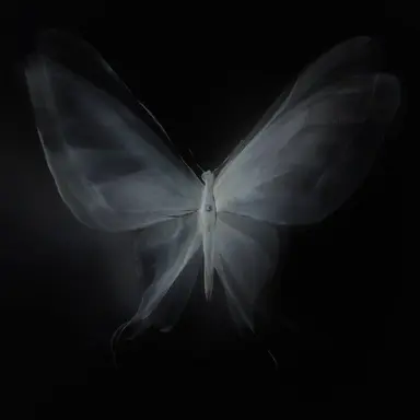 Profile image of イザベラ