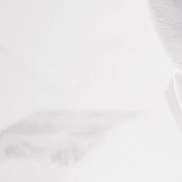 ネテヤム