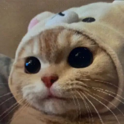 Suppercat의 걱걱걱?