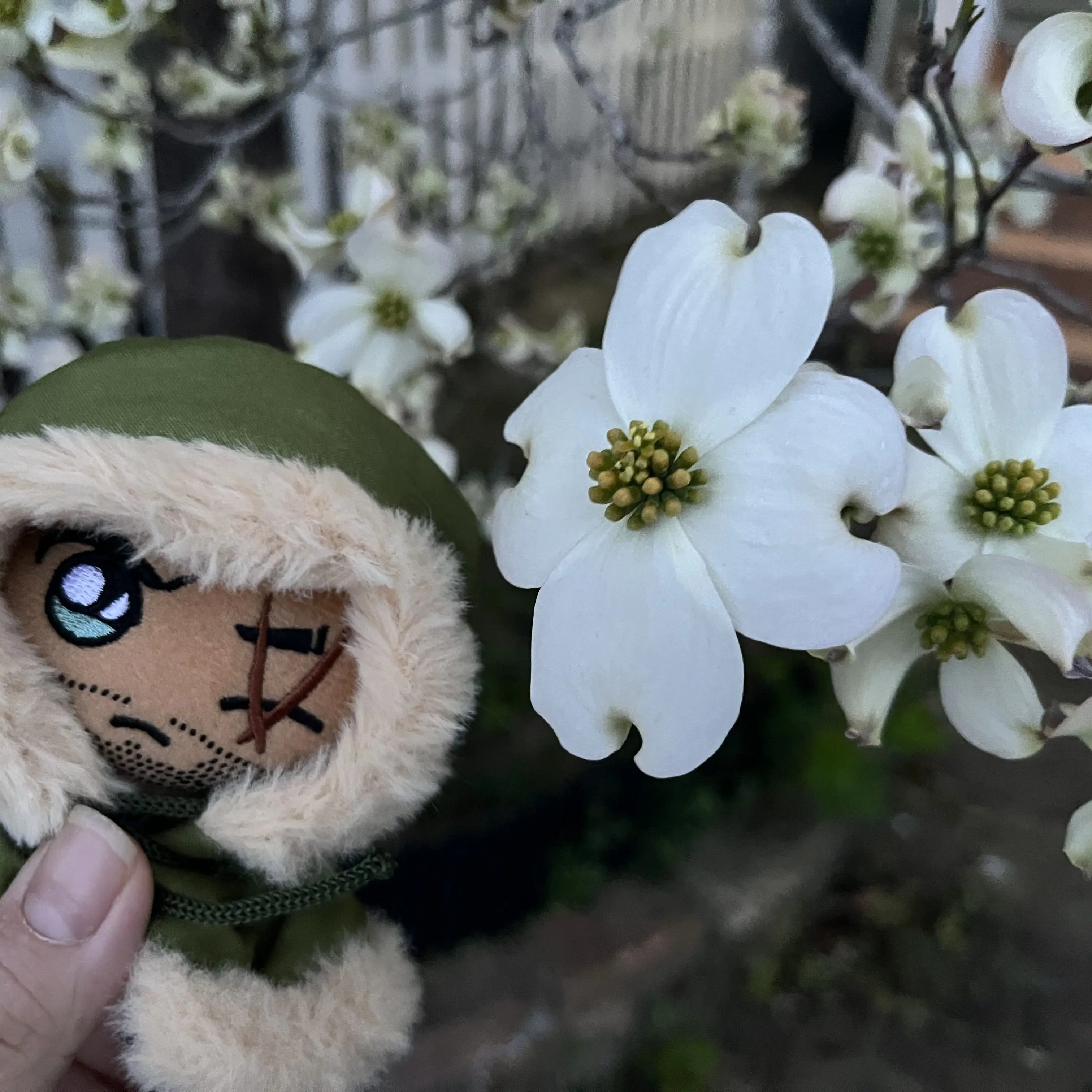 FolksyDish9046의 雪崩のその後