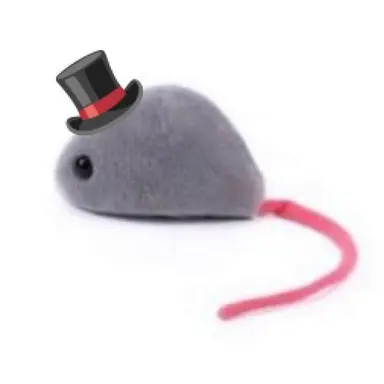 Profile image of 팻