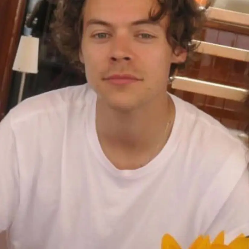 Elfie의 Harry Styles