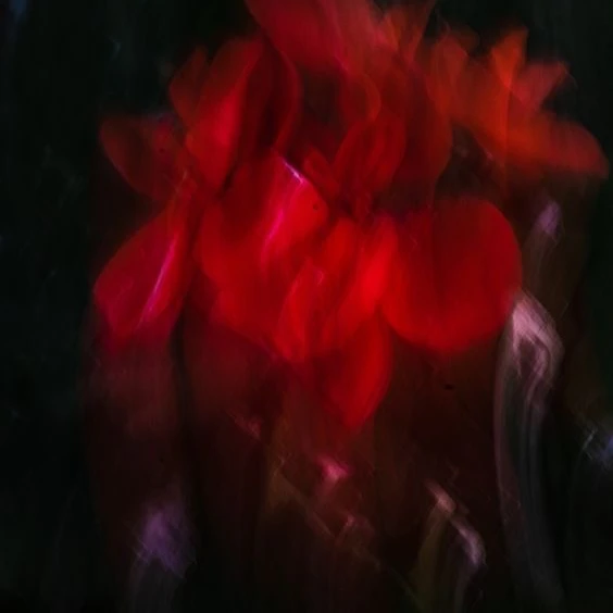 마플