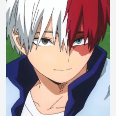 Profile image of Shoto Todoroki