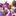 キル×ユア×アイドルのふたり