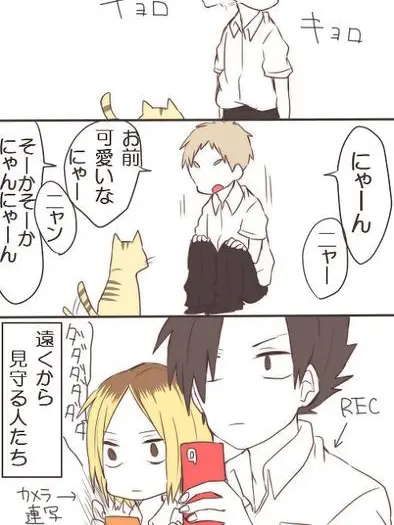 DenseDate0624의 You аre cat！