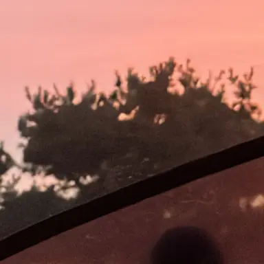 Profile image of 허이설