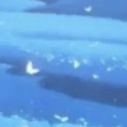 Profile image of 스타더스트