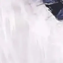 Profile image of 현지