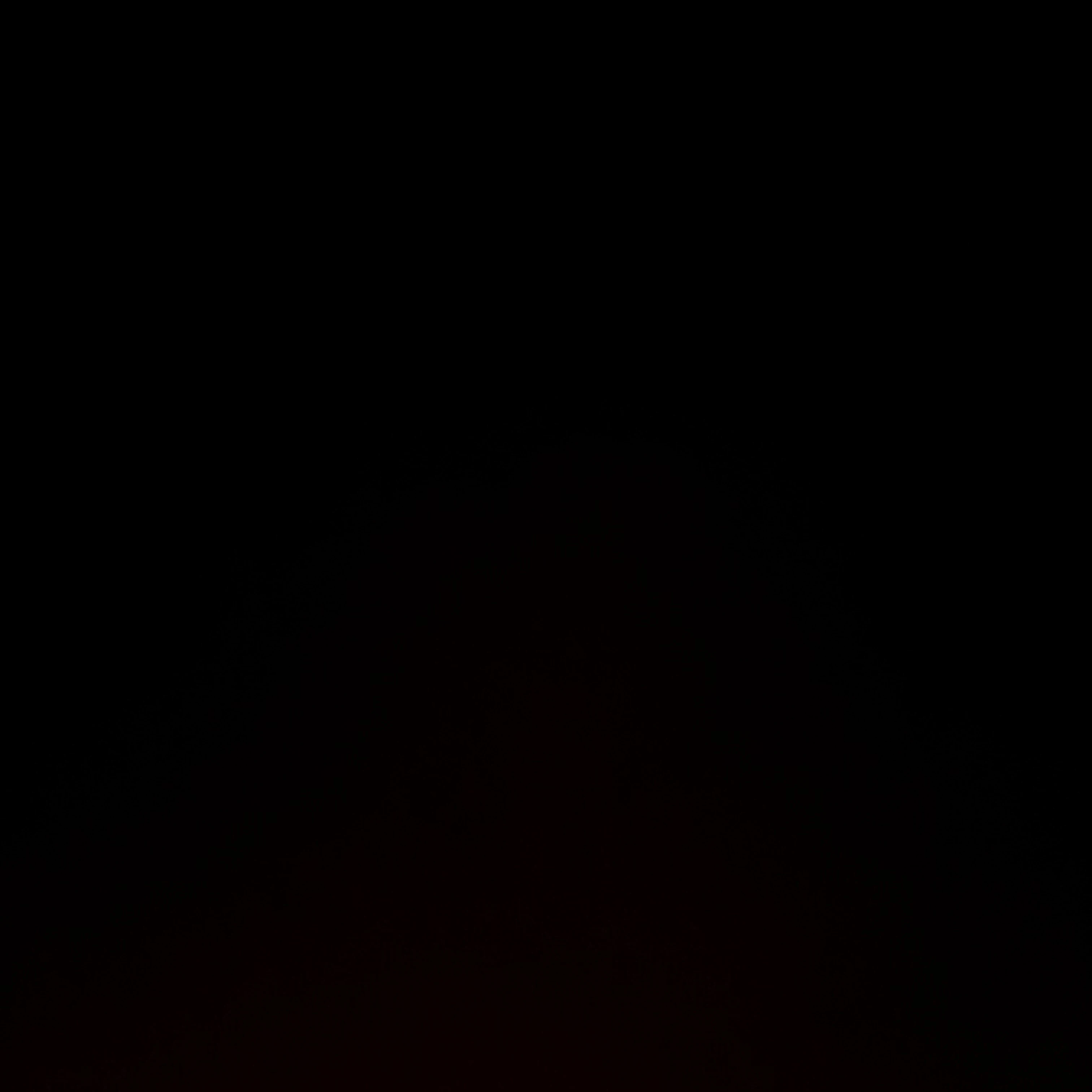 4人