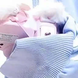 RuralThumb9071의 ゆうまにゃん