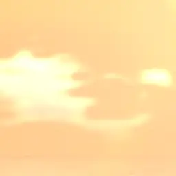 Profile image of 존도