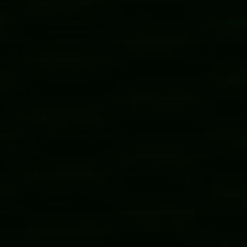 오이씨