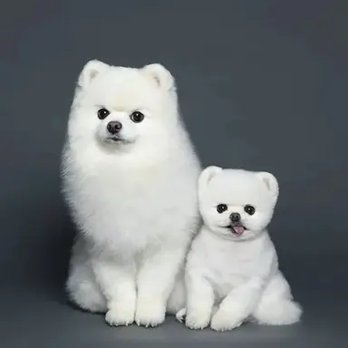 Profile image of 루디