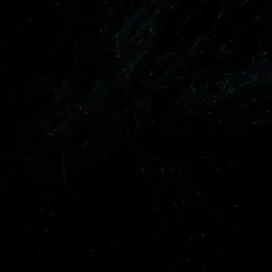 Profile image of 1010