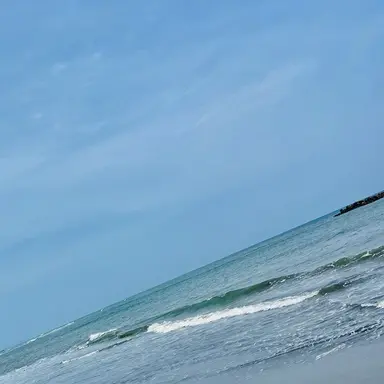 Profile image of コンプレス