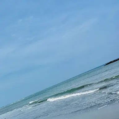 Profile image of 死柄木