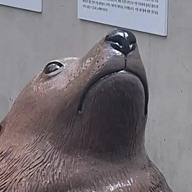 Profile image of 여우