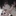 박건우