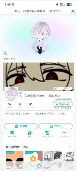 Profile image of N