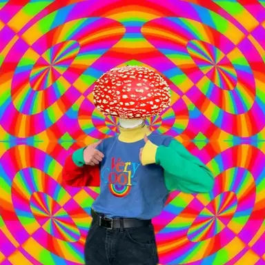 Profile image of シャルム