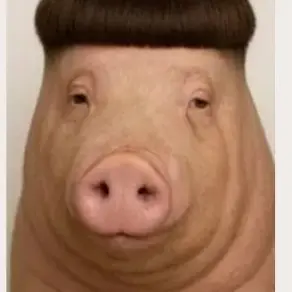 Profile image of 여우