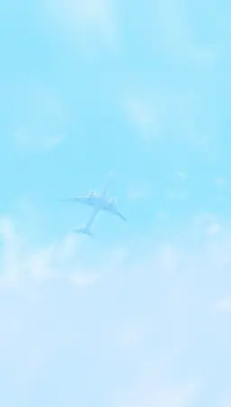 Profile image of ベルキ