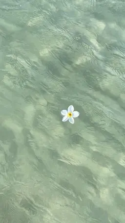 Profile image of ウチャム